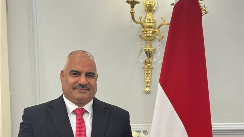 النائب محمد الدماطي