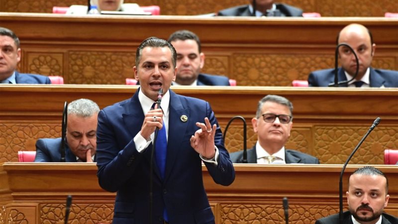 النائب أحمد عبد الجواد 