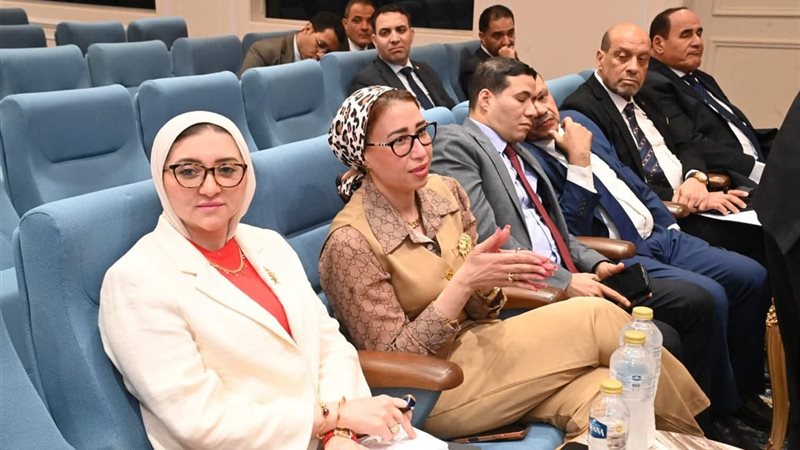 وكيل لجنة المشروعات