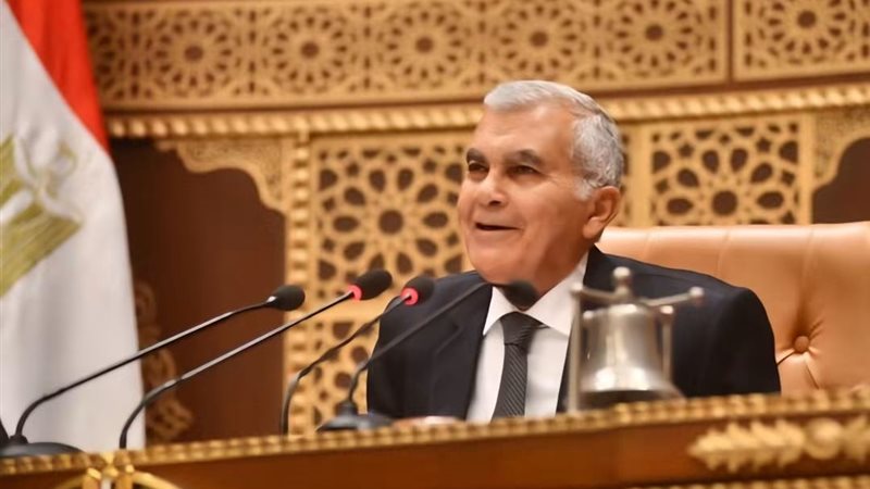 المستشار هشام بدوي