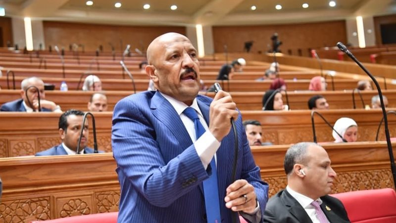  النائب أحمد الحديدي