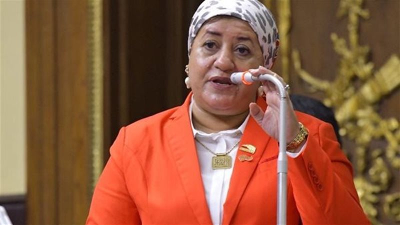 النائبة رحاب الغول 