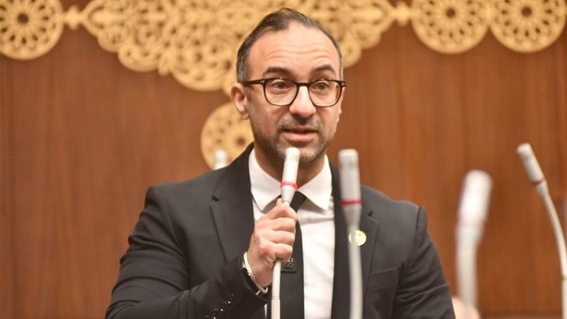 النائب أحمد الحمامصي