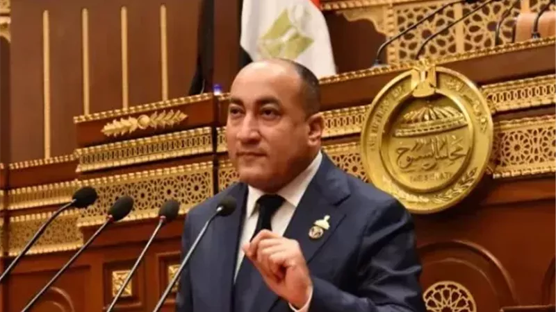 النائب عمرو رشاد