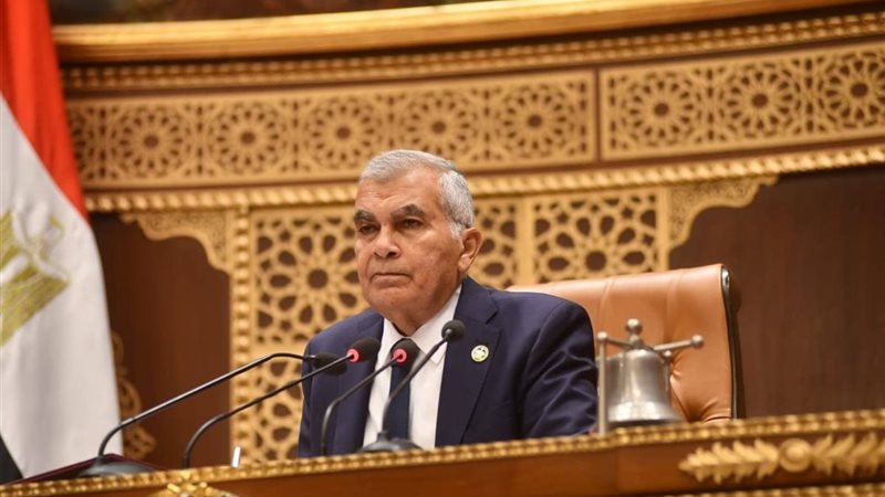 المستشار عصام الدين