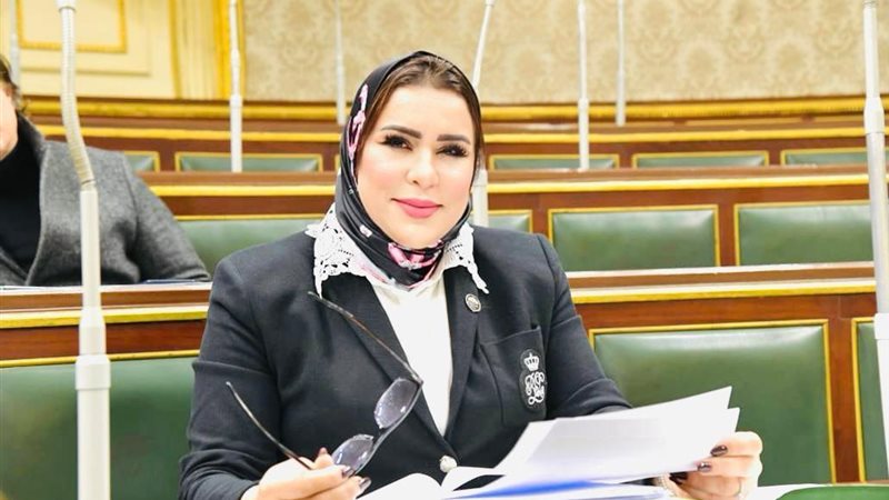  النائبة نيفين الكاتب