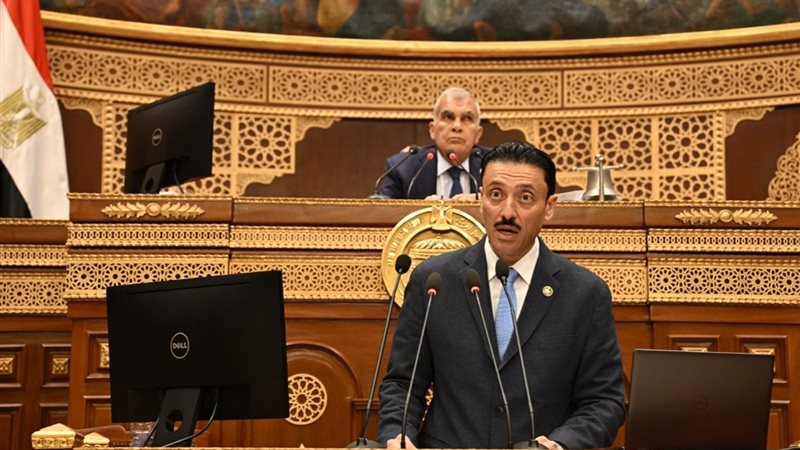 النائب محمد رزق 