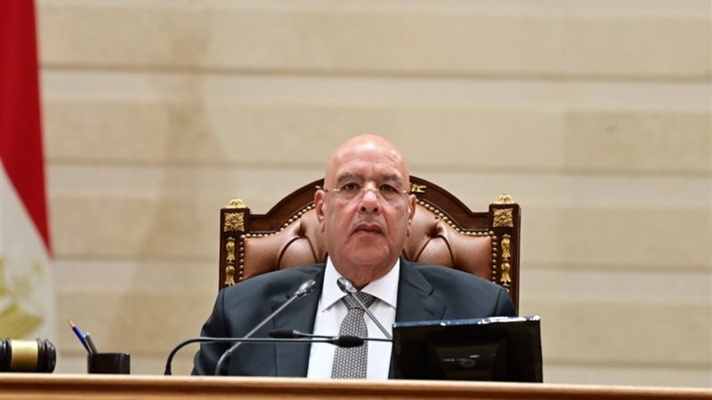 المستشار هشام بدوي