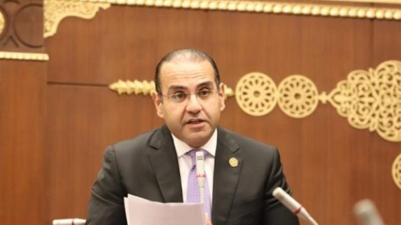 المهندس محمد المنزلاوى 
