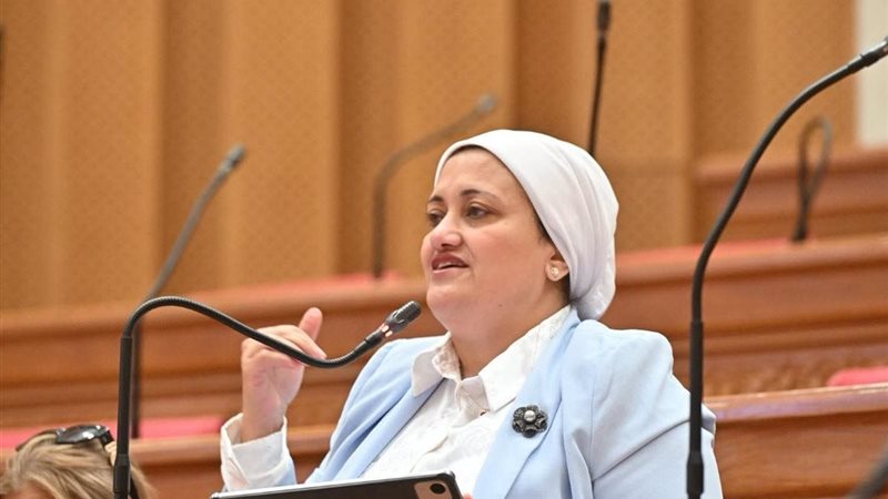 النائبة سناء السعيد 