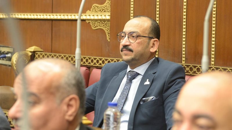  النائب عبد العاطي أحمد