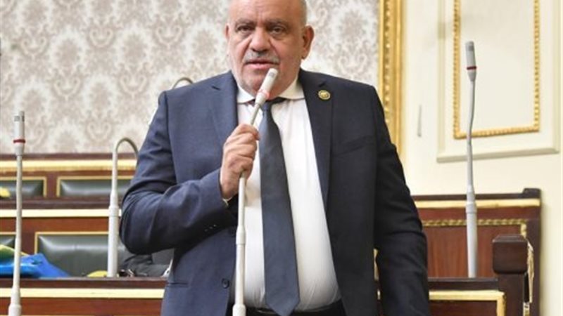 النائب سيد حنفي طه