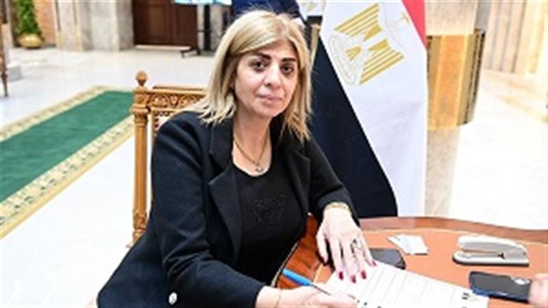 النائبة أميرة فؤاد