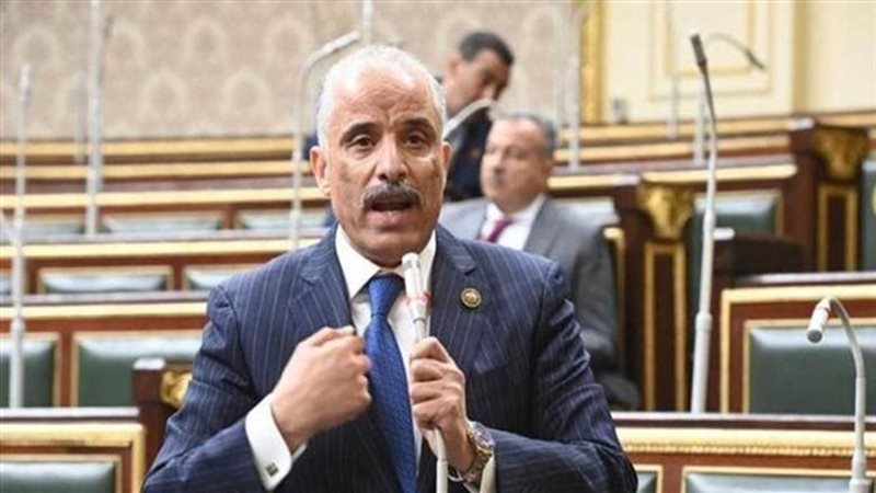 النائب عيد حماد