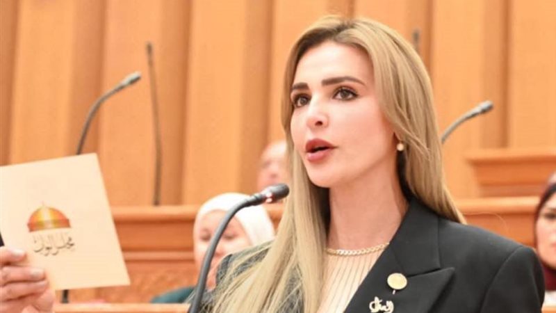 النائبة مروة بوريص