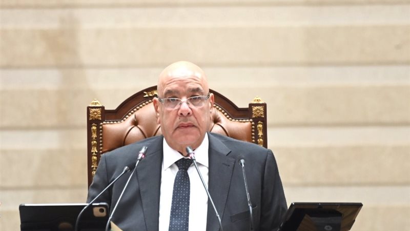 المستشار هشام بدوي