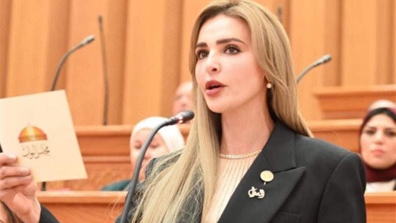 النائبة مروة بوريص