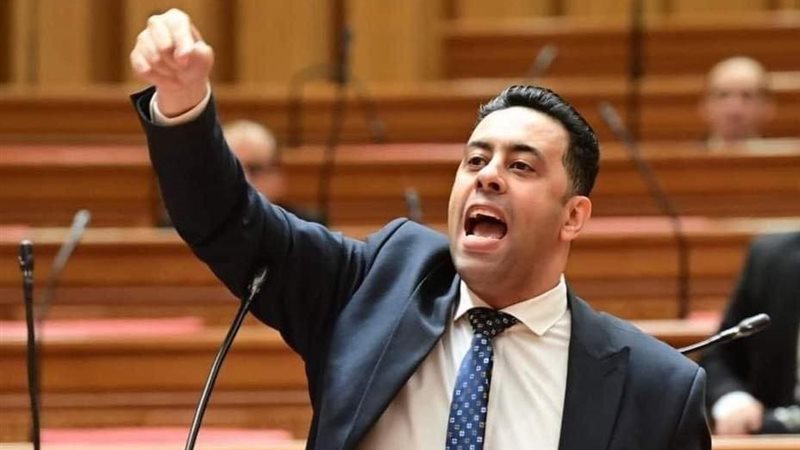 النائب أحمد فرغلي 