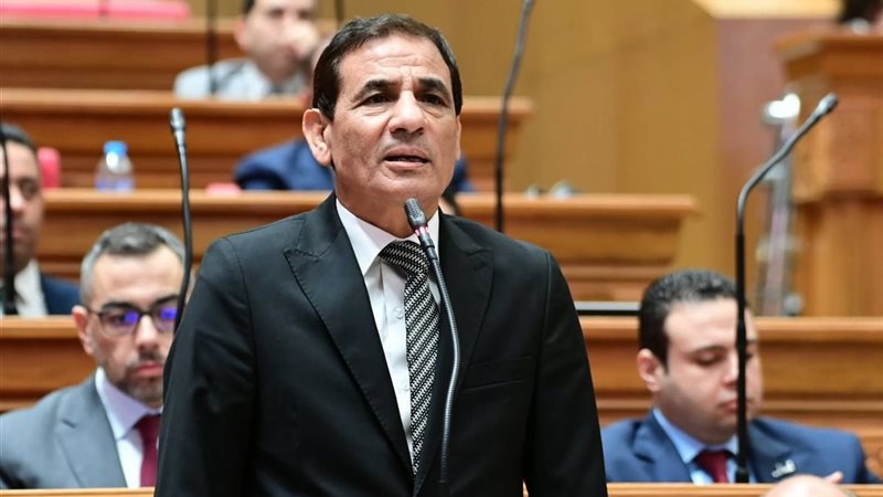 النائب محمد عبد العليم