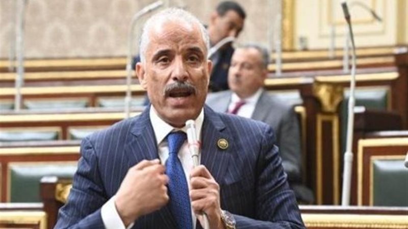 النائب عيد حماد 