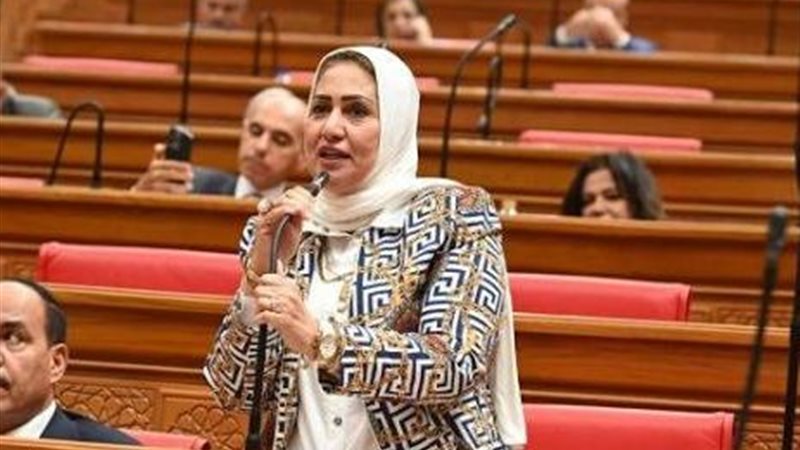 النائبة سحر صدقي 
