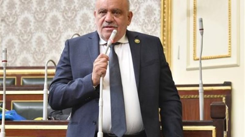 النائب سيد حنفي طه 