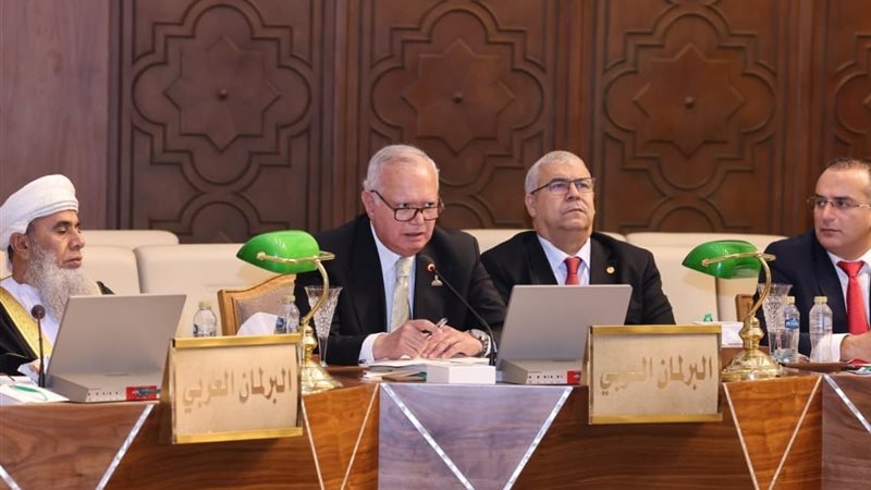 السفير محمد العرابي