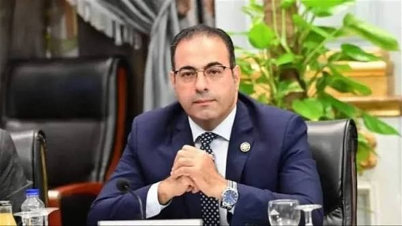 رئيس اتحاد شباب المصريين