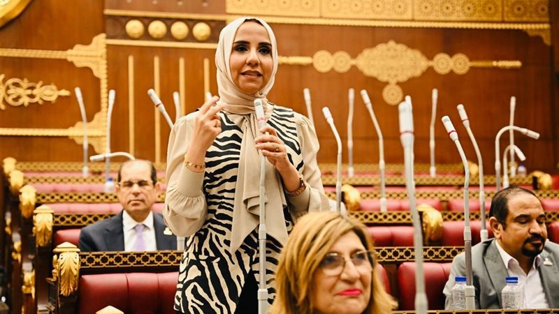 النائبة ولاء هرماس 