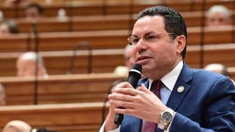 النائب هشام الحصري 