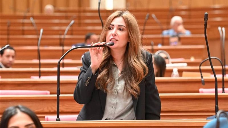النائبة أميرة العادلي