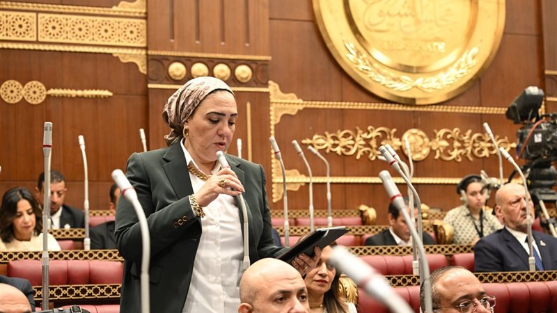 النائبة داليا الإتربي
