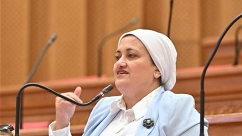 النائبة سناء السعيد