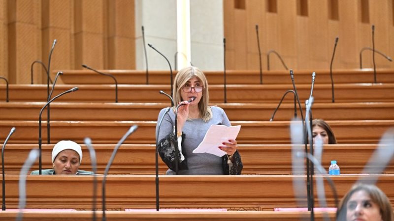 النائبة أميرة فؤاد رزق