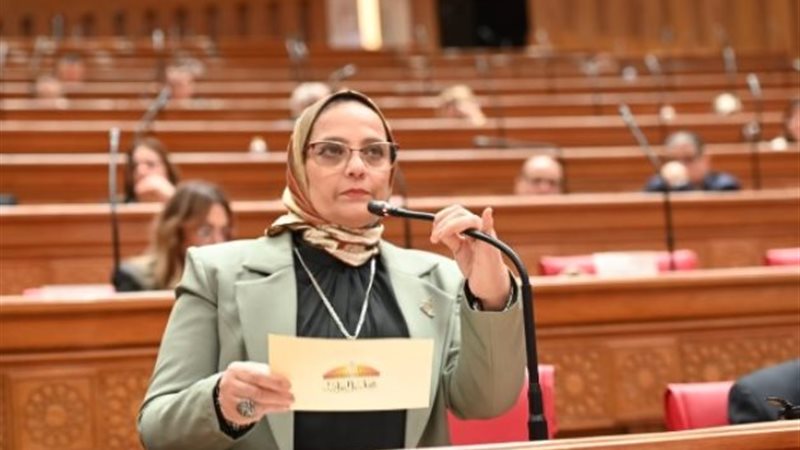 النائبة نجلاء العسيلي 