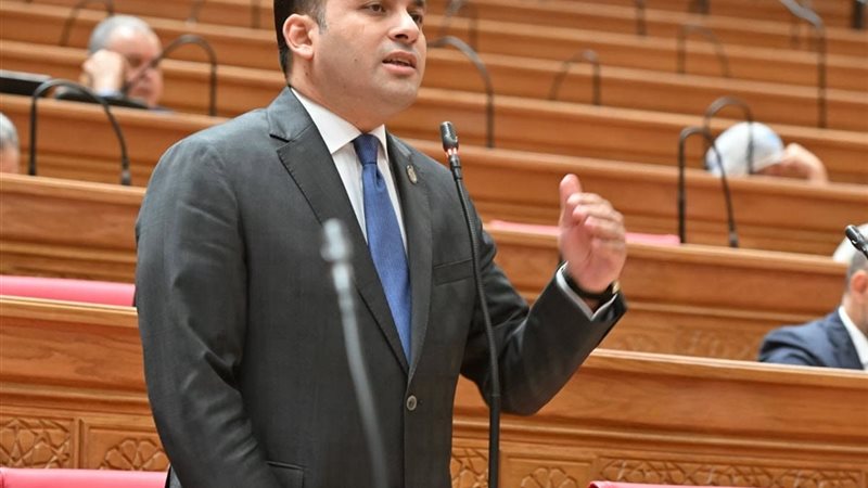 النائب عمرو فهمي 