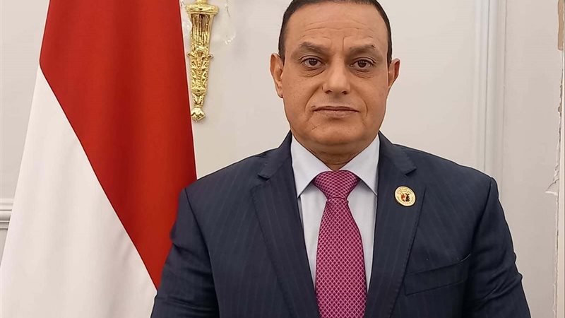 النائب مختار همام 