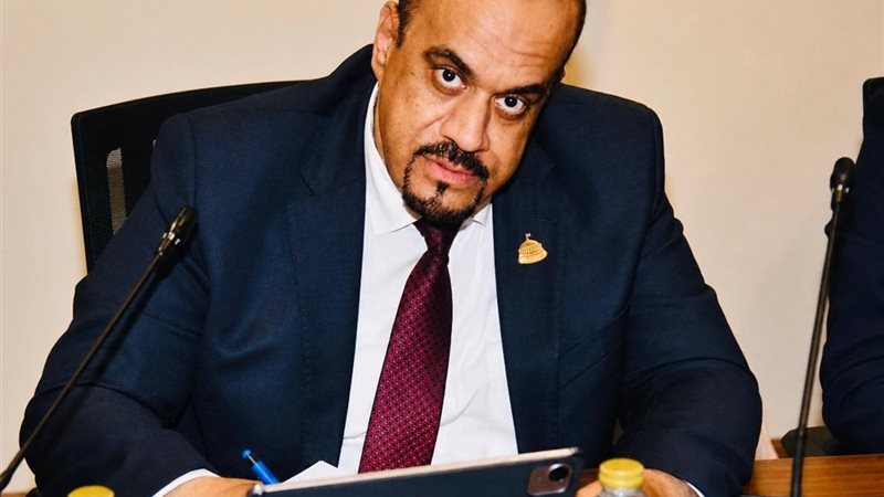  النائب إيهاب إمام