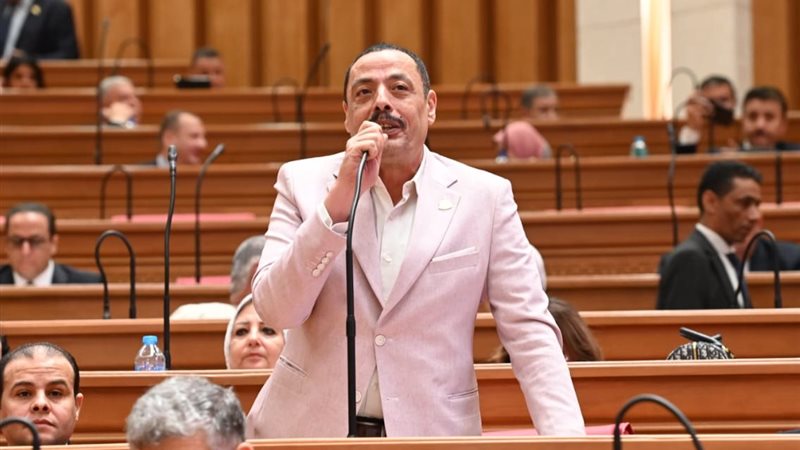 النائب أشرف أمين 