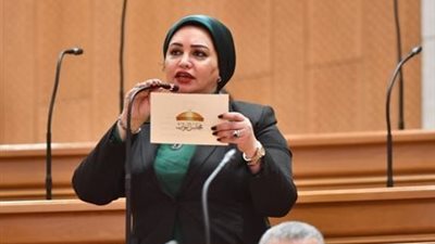 النائبة سولاف درويش  