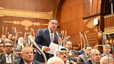زاهر الشقنقيري: ثبات السياسة المصرية عزز الثقة بدورها الإقليمي |خاص