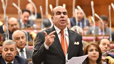 النائب ياسر الهضيبي  