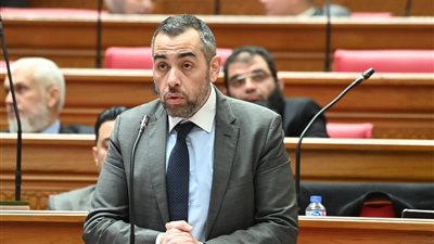  النائب محمد فؤاد 