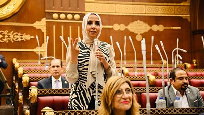 ولاء هرماس تطالب بتشريع ينظم مواقع التواصل الاجتماعي ويواجه الشائعات 