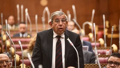  النائب علاء عبد النبي 