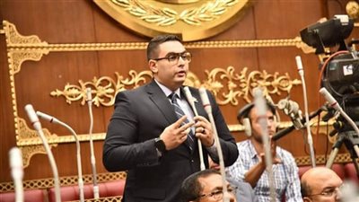 عضو الشيوخ: العلاقات المصرية التنزانية تشهد مرحلة جديدة من التعاون  