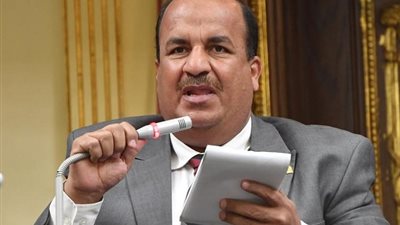 النائب محمد عبد الحميد 