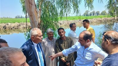  النائب محمد عبد الحميد عرابي 