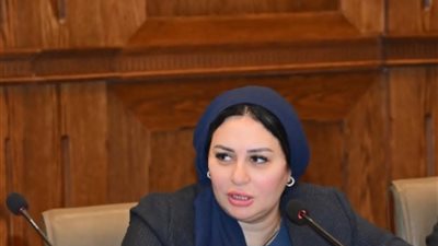 النائبة شيرين صبري  