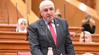 النائب أشرف سعد سليمان  